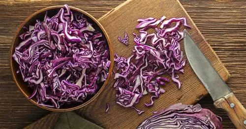 Готовим краснокочанную капусту: Вкусные идеи и практические советы