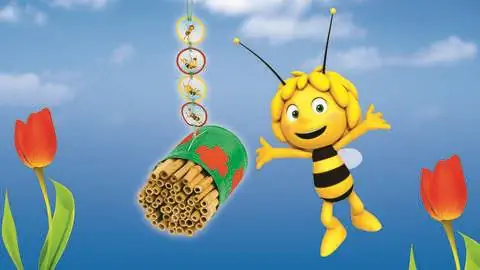 Инструкции: Bee Hotel