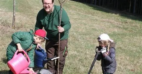 Дикие пчелы и охрана природы на диких садовых лугах
