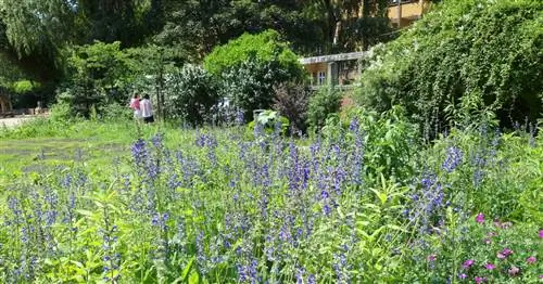 Отправляйтесь спать – сделайте школы устойчивыми