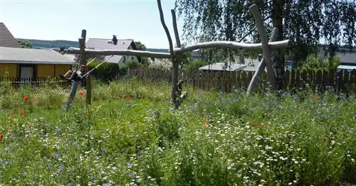 Природный сад для детского сада Святой Марии