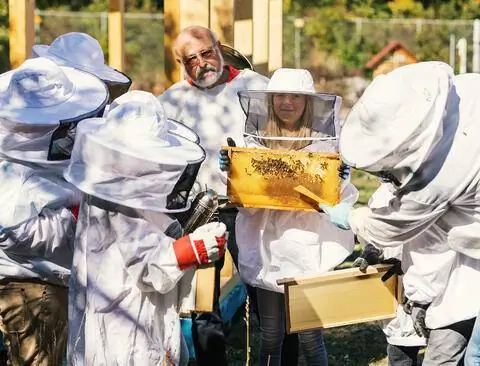 уроки вблизи