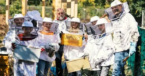 GSO начинает двигаться - акция для диких пчел