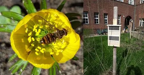 Ложитесь спать – сделайте школы экологичными
