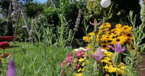 5 полезных осенних растений для террасы & Балкон