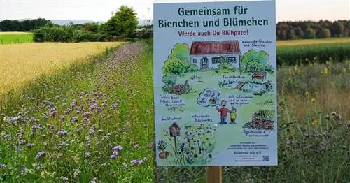 Новости проекта "Цветущий Альб"