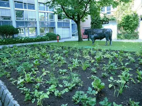 Пчелиная кровать Burda Munich