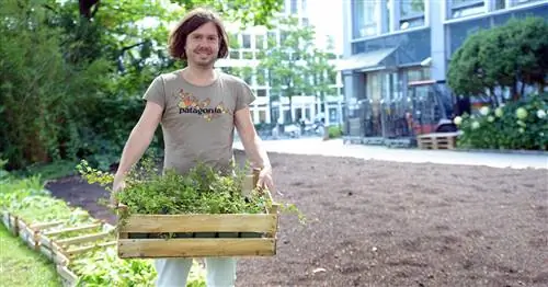 Шведский стол для пчел