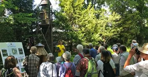 СООБЩЕНИЕ ПЧЕЛИ