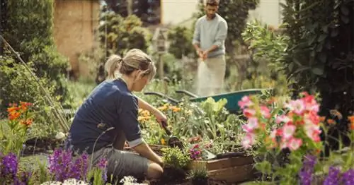 Какой вы тип сада? Садовый эстет или самодостаточный садовник?