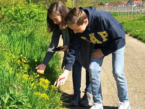 Откройте для себя природу всеми органами чувств и с помощью различных средств