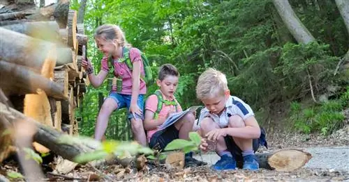 Интерактивный экологический образовательный проект для детей