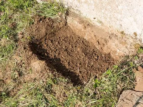 Пособие по гнездованию песчаных пчел: выкопать яму