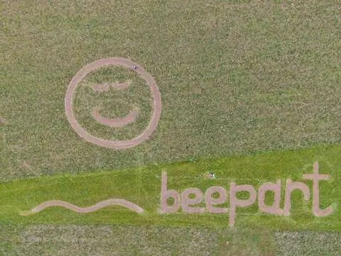 цветочные полоски beepart beepart