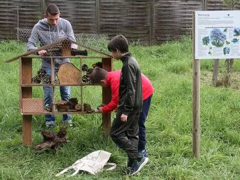 Станция с отелем для насекомых на пчелиной тропе в Бад-Хоннефе гудит