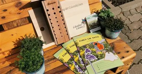 Коробка дикой пчелы