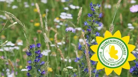 Спонсорство цветочной поляны 2022