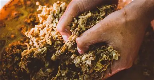 Вина в гармонии с природой