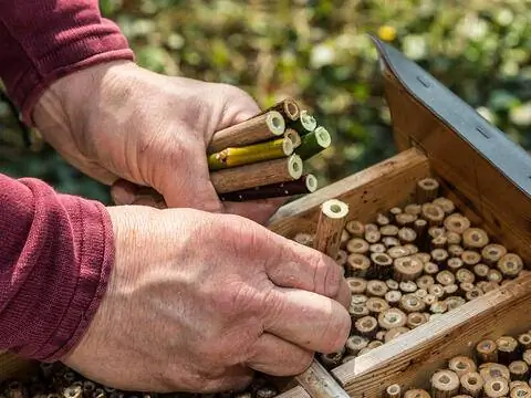 Онлайн-курс Мой красивый сад - построить дом для насекомых
