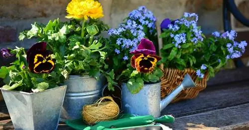 Пчелиный сад в течение года