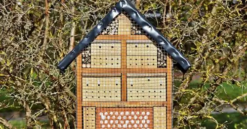 Правильные приспособления для гнездования диких пчел