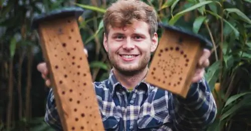 WiBiNis от "flowbee"