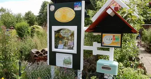 Наделы будущего