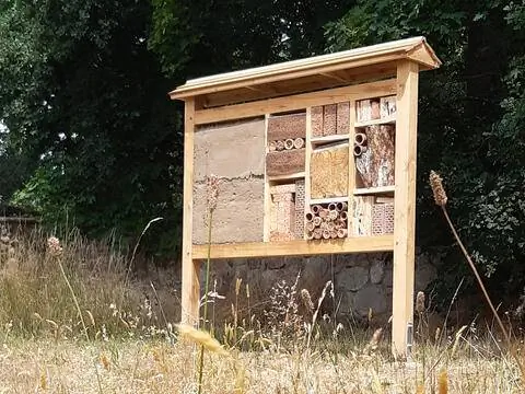 Дом дикой пчелы на Живом кладбище Живое кладбище