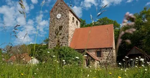 Живое кладбище Ритцлебен