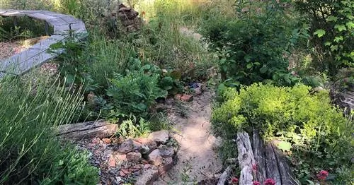 Пчелиный променад в школьном саду