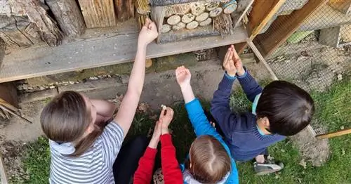 Спасите диких пчел