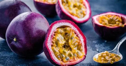 Маракуйя: как определить, что она созрела