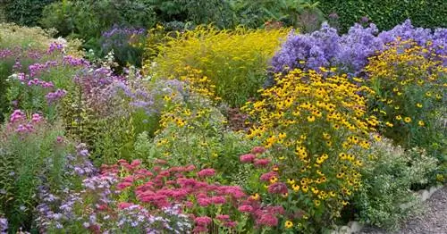 Хорошая подготовка: так сад переживает засушливое лето