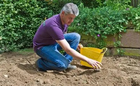 Удаление камней и сорняков