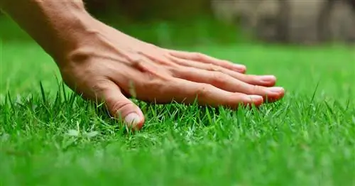 Укладка нового газона: 7 шагов к идеальному результату