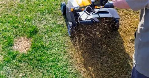 Уход за газоном: эти 3 ошибки особенно фатальны