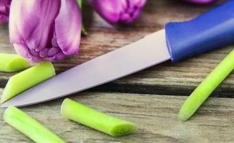 Обрежьте стебли тюльпанов