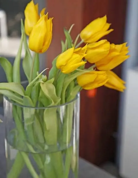 Тюльпаны в вазе для цветов