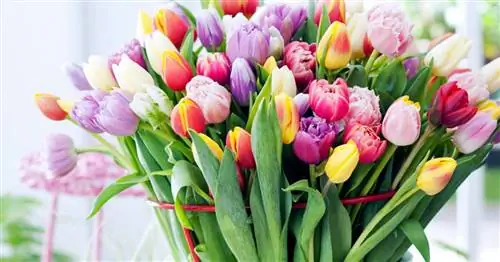 Идеальная срезка: так тюльпаны дольше остаются свежими в вазе