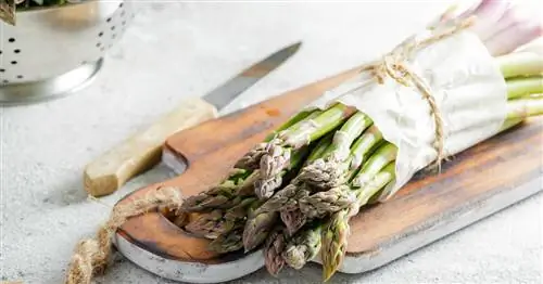 Подготовка зеленой спаржи: вкусные идеи для подражания