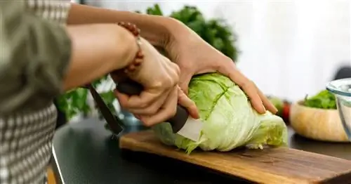 Приготовьте салат айсберг: так он вкуснее всего