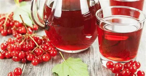 Приготовьте смородиновый сок самостоятельно: это так просто