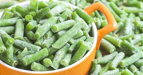 Заморозка кустовой фасоли: Как сохранить урожай