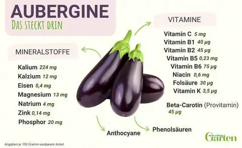 Ингредиенты для баклажанов
