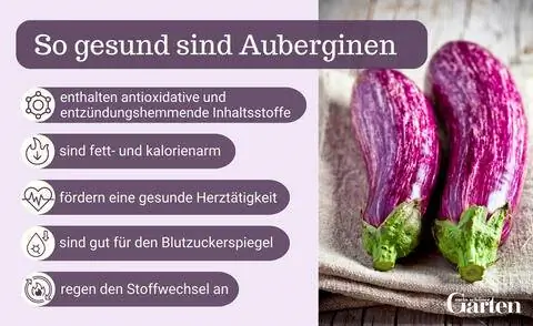 Здоровая графика баклажанов