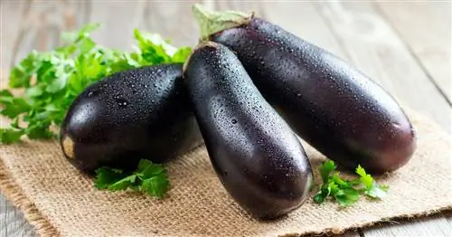 Баклажаны: калорийность & Краткая информация о пищевой ценности