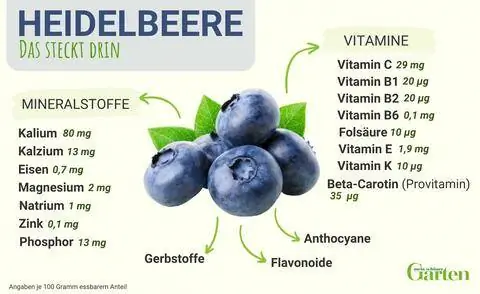 ингредиенты черники