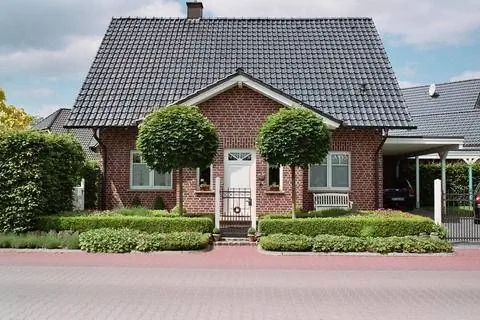 Клены во дворе перед домом