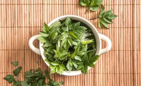 листья сорняков