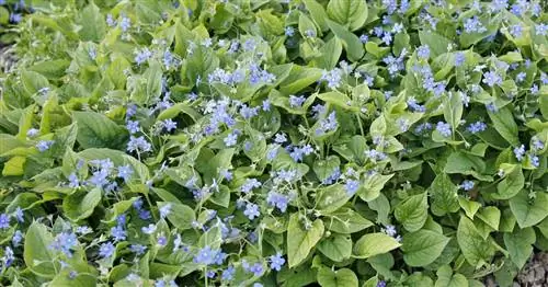 Весенний памятный